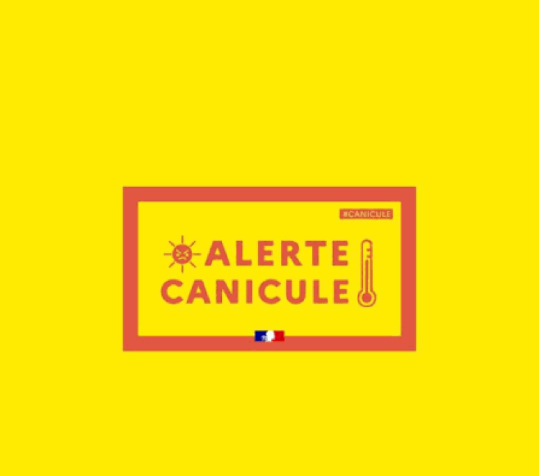 canicule