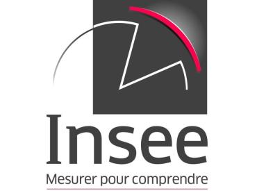 logo insee