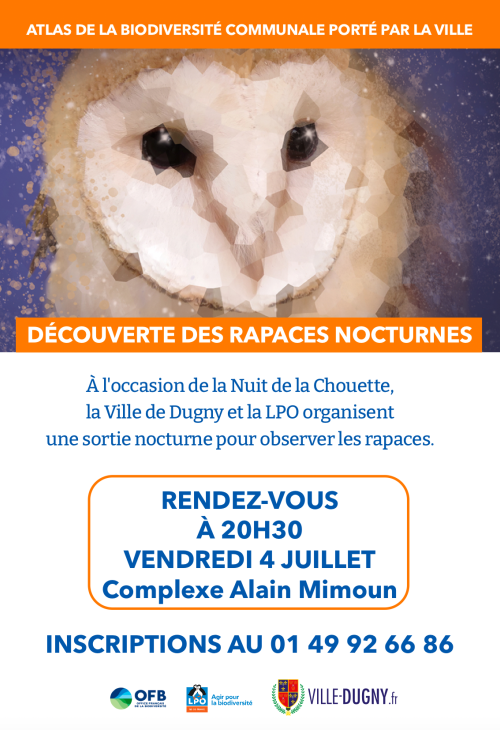 Découverte des rapaces nocturnes