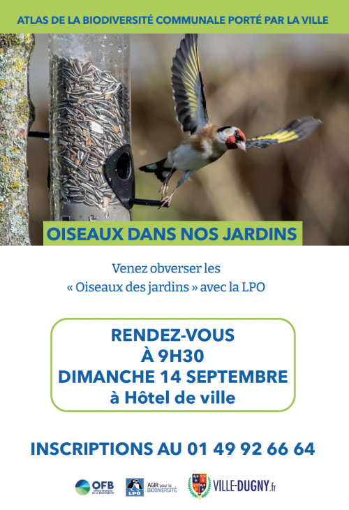 observer les oiseaux