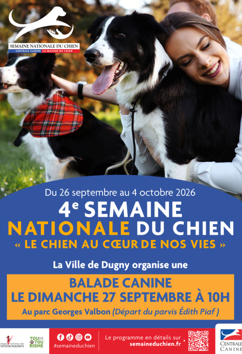 balade canine 