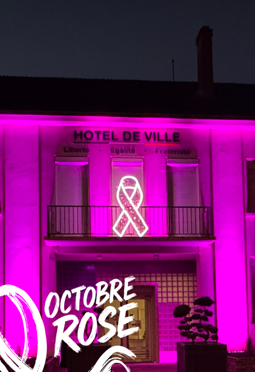 mairie en rose