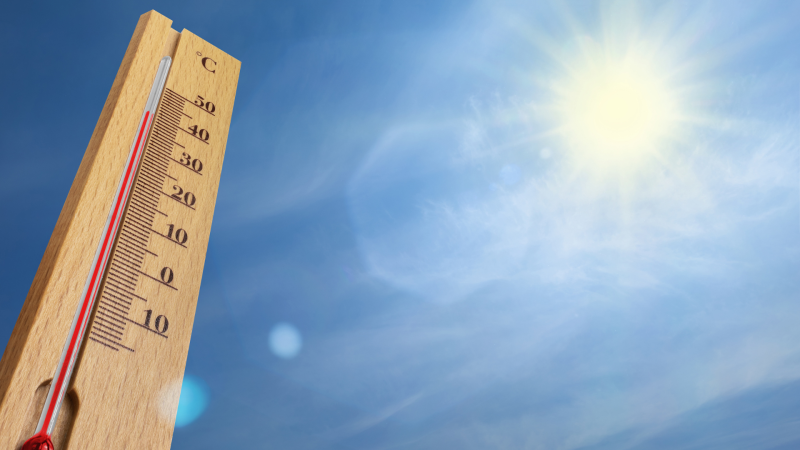 canicule