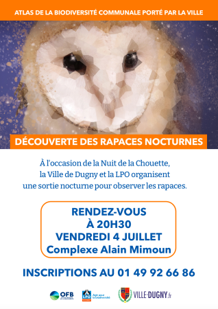 Découverte des rapaces nocturnes