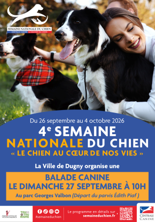 balade canine 
