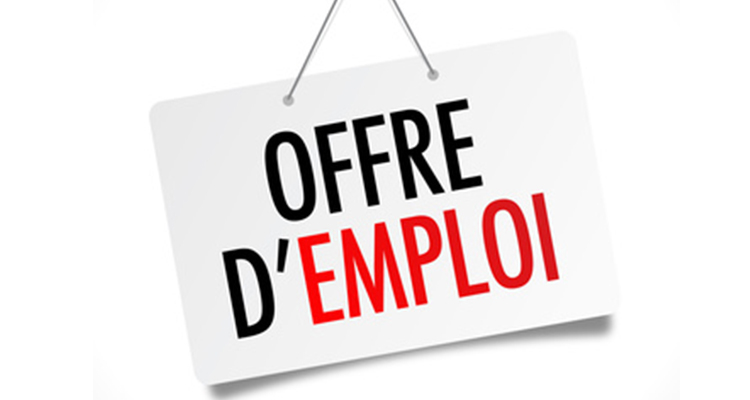 Offre d'emploi au stade de France