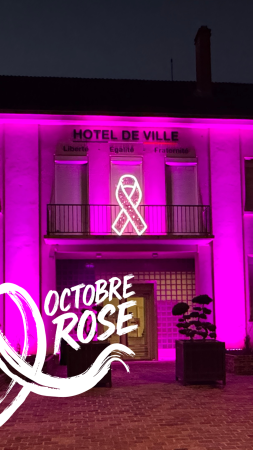 mairie en rose